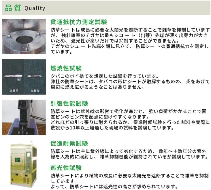 景山玄陶会 狭霧 C03 作家鉢 植木鉢 陶器 盆栽 塊根 アガベ グラキリス 景山玄陶会 狭霧 C03 作家鉢 植木鉢 陶器 盆栽 塊根 アガベ グラキリス